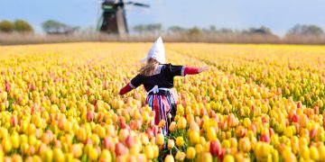قوانین عجیب هلند