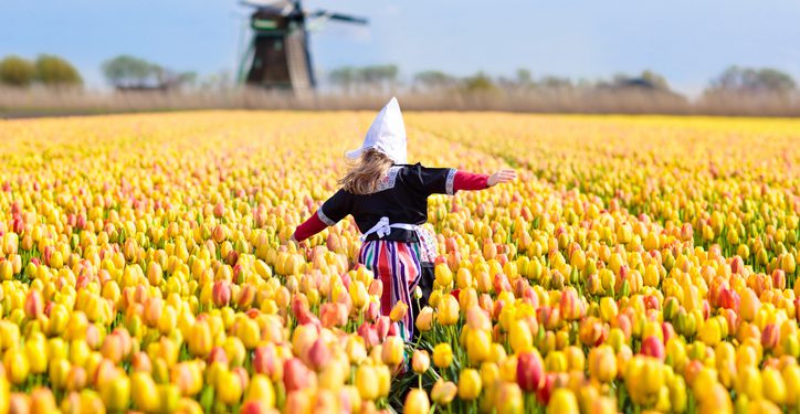 قوانین عجیب هلند