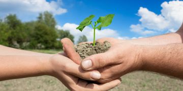 حفظ خاک و گیاهان