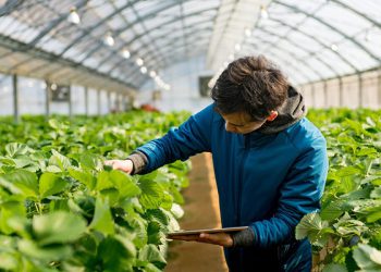 مهاجرت مهندس کشاورزی به فنلاند