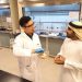 تحصیل در رشته مهندسی کشاورزی در امارات