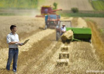 مهاجرت مهندس کشاورزی به امارات